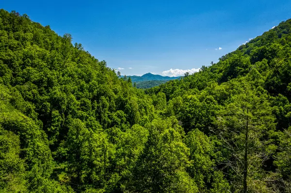 Del Rio, TN 37727,597 Middle Fork WAY