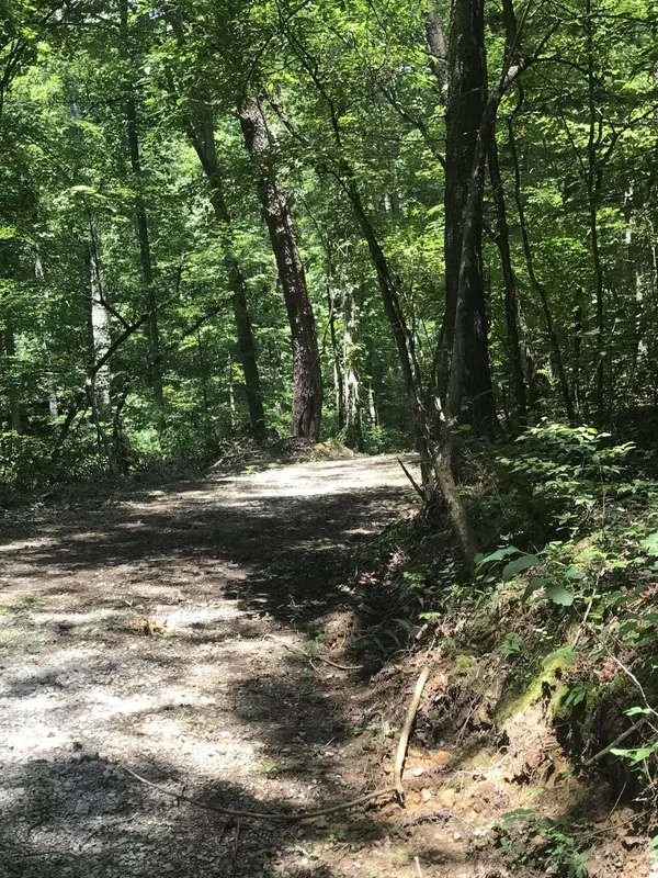 Tellico Plains, TN 37385,000 Highway 360