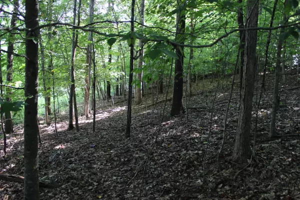 Andersonville, TN 37705,Park Lane, Lot 10