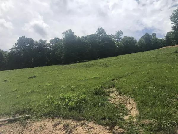 Sneedville, TN 37869,00 Caney Valley Rd