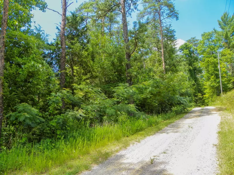Lot# 8 Azalea Trail, Sevierville, TN 37876