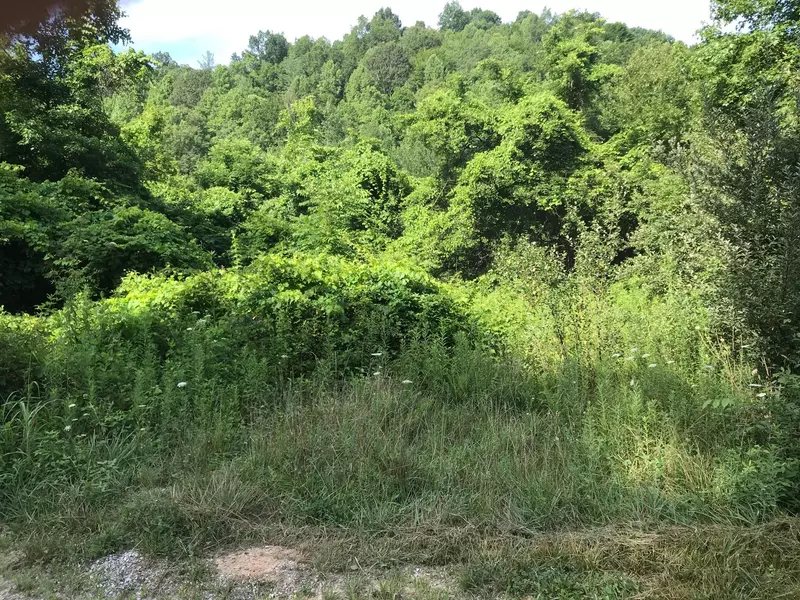 0 Cherry Fork, Helenwood, TN 37755