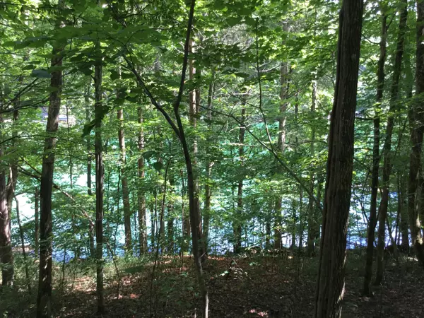 Jacksboro, TN 37757,Lot 16 Windsor LN