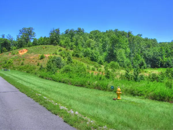 Rockwood, TN 37854,Lot 398 W Mountain DR