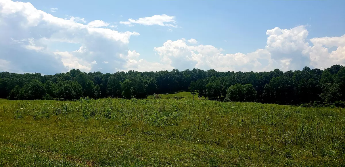 Jamestown, TN 38556,Lot 37 Nichol Creek DR