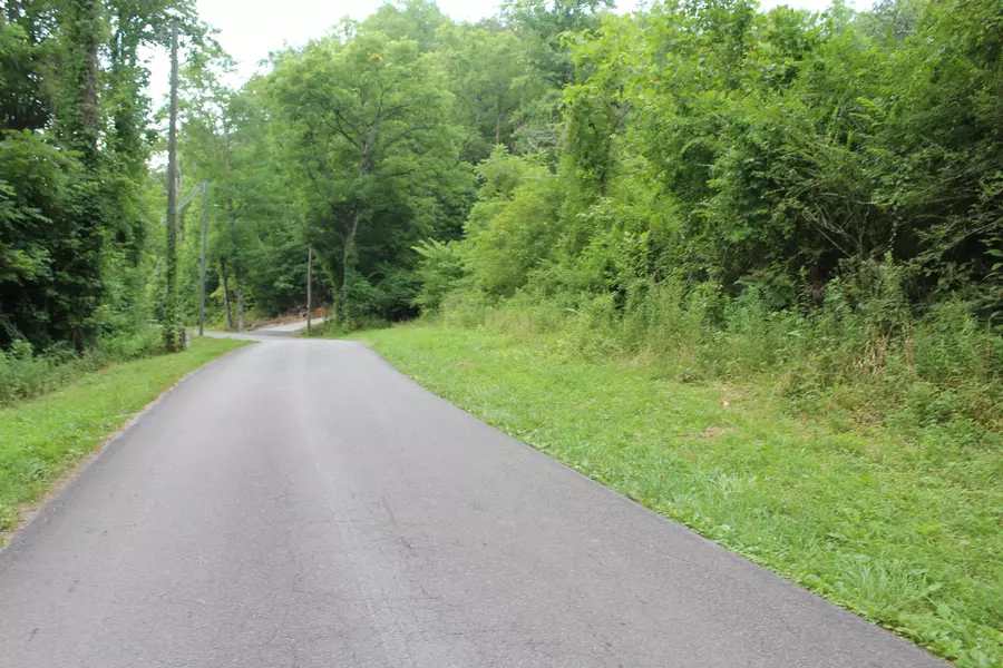 Indian Gap Rd, Andersonville, TN 37705