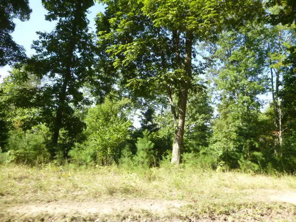 Lafollette, TN 37766,24 Lots On Bankston LN