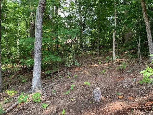 Sevierville, TN 37862,Lot 24 Pleasant View Ln LN