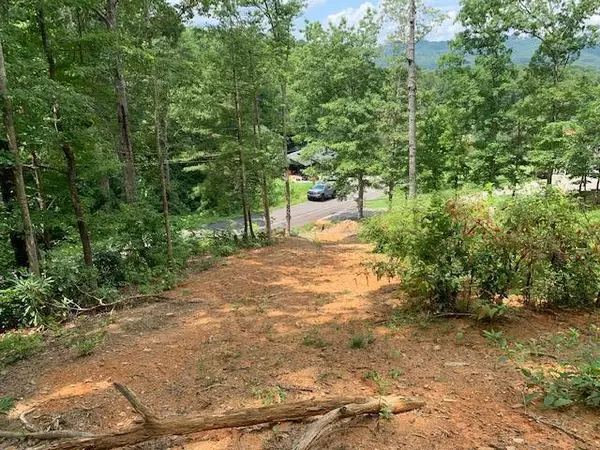 Sevierville, TN 37862,Lot 24 Pleasant View Ln LN