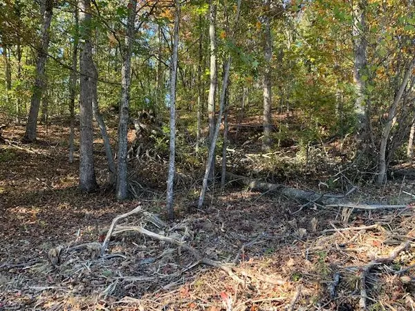 Rockwood, TN 37854,Shore Lot 135 DR