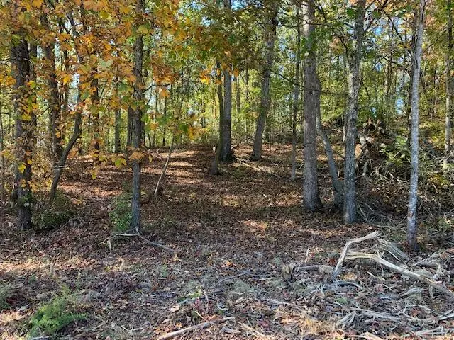 Rockwood, TN 37854,Shore Lot 135 DR