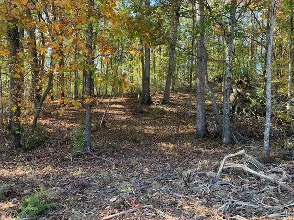 Shore Lot 135 DR, Rockwood, TN 37854