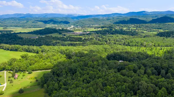 Tellico Plains, TN 37385,0 New Providence Rd