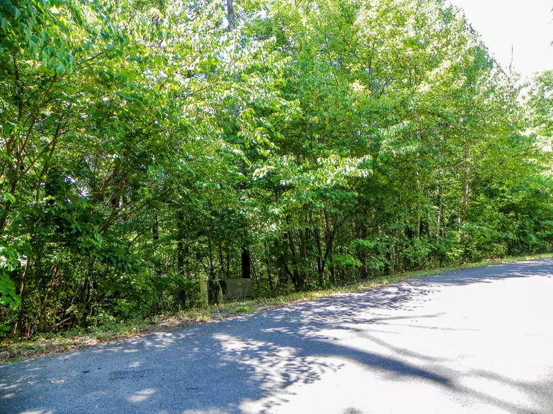 Lot# 34 Stevia Way, Cosby, TN 37722