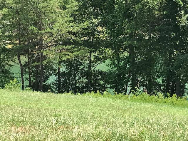 1481 Halyard Rd, Lenoir City, TN 37772