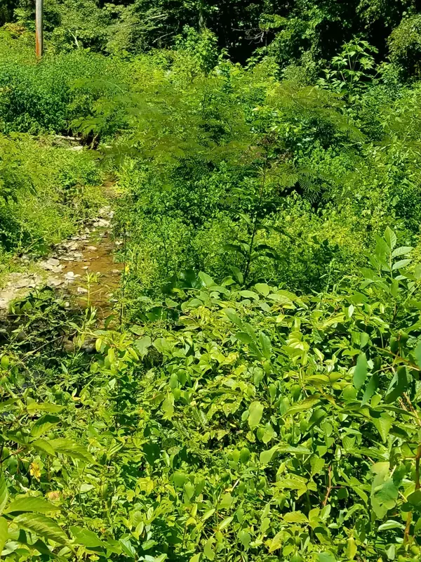 Sevierville, TN 37876,2115 Grassy Branch Rd