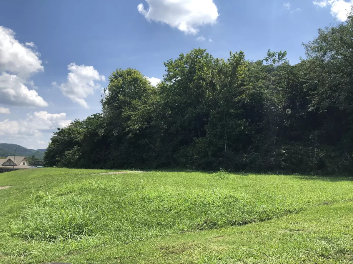 Tellico Plains, TN 37385,Lot 01 2 Cherohala Skyway