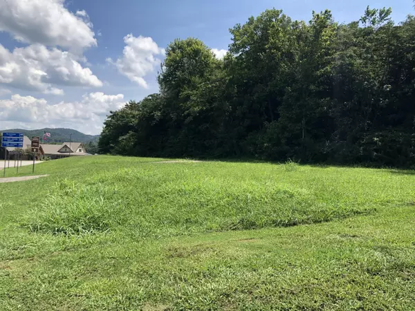 Tellico Plains, TN 37385,Lot 01 2 Cherohala Skyway