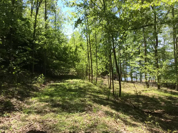 Ten Mile, TN 37880,83- Indian Shadows DR