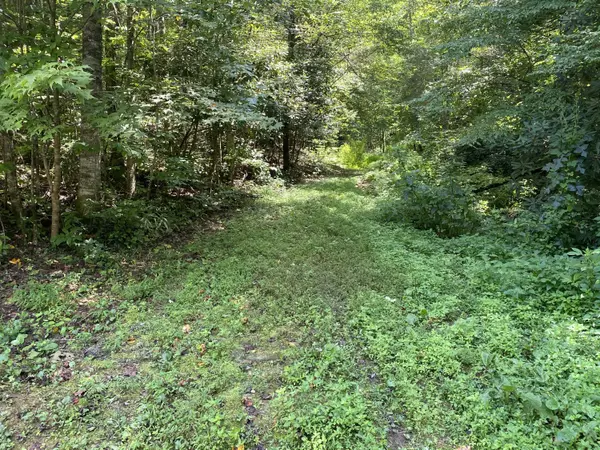 Del Rio, TN 37727,00 Punkton Rd