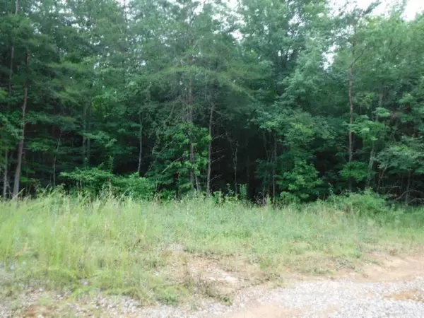 Lot 2 Bill Roberts Rd, Sunbright, TN 37872