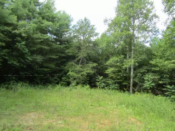 Lot 3 Bill Roberts Rd, Sunbright, TN 37872