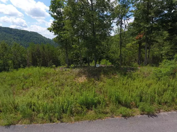 Sevierville, TN 37876,Lot 11 Mountain Ash WAY