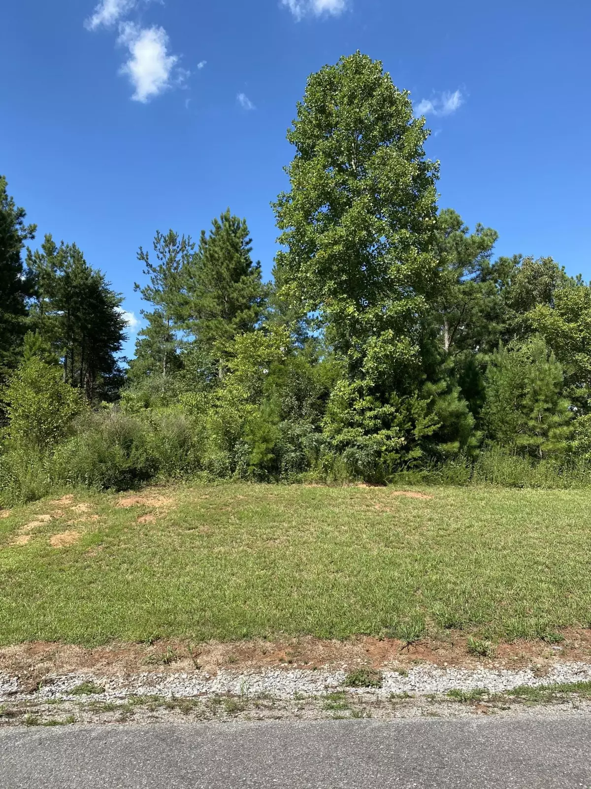 Vonore, TN 37885,Wilderness DR