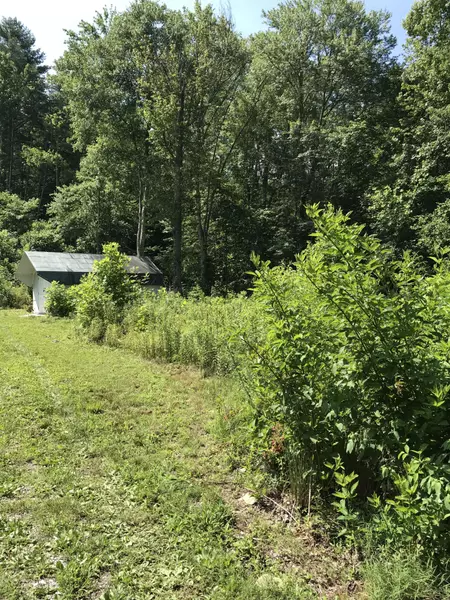 Lower Smithfield Rd, Tellico Plains, TN 37385