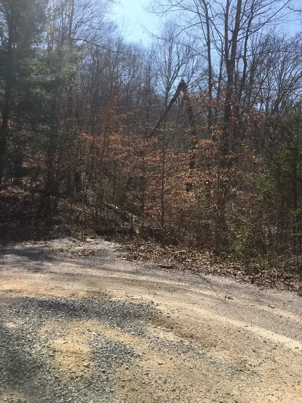 Maynardville, TN 37807,Lot 33 Timber Creek Rd