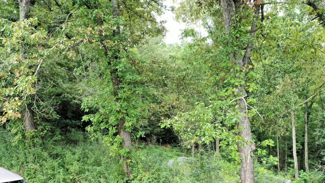 1333 Golf Course Rd, Newport, TN 37821