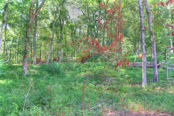 Rockwood, TN 37854,Lot 200 Shore Drive DR #IV