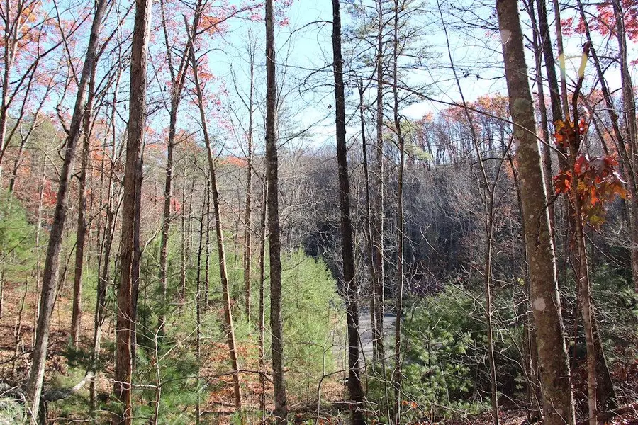 Lot 29E Cool Water LN, Sevierville, TN 37862