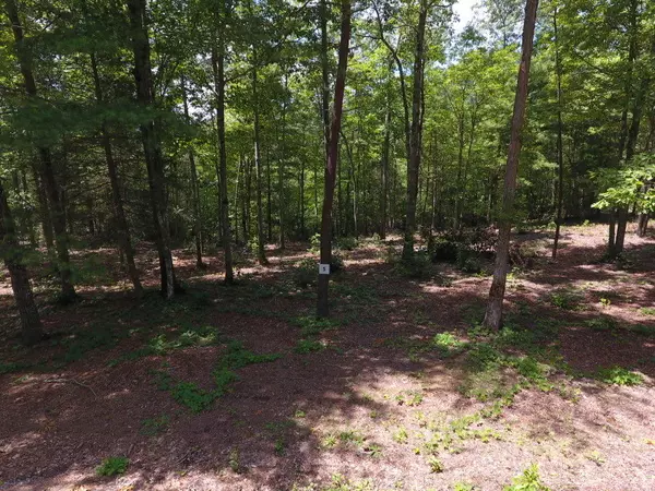 Sevierville, TN 37876,Lot #5 Mountain Ash Way