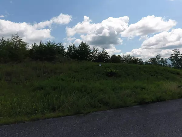 Sevierville, TN 37876,Lot #39 Mountain Ash Way