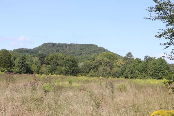 Tellico Plains, TN 37385,lot 3 Welch Rd