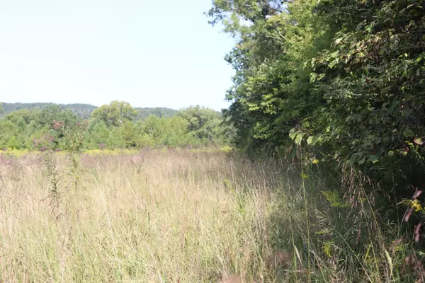 Tellico Plains, TN 37385,lot 3 Welch Rd