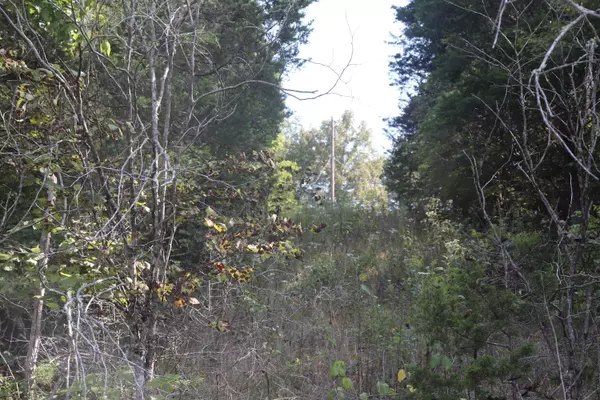 Tellico Plains, TN 37385,lot 3 Welch Rd