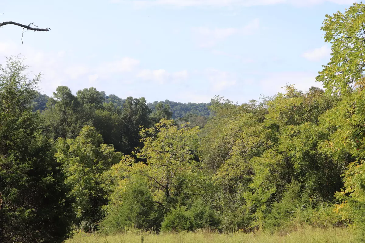 Tellico Plains, TN 37385,lot 3 Welch Rd