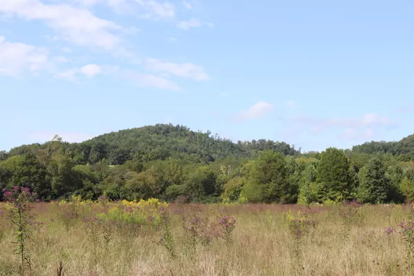 Tellico Plains, TN 37385,lot 3 Welch Rd