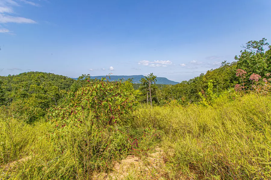 Lot 84 Smoky Overlook WAY, Sevierville, TN 37862