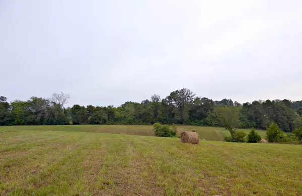 Dandridge, TN 37725,0 Harold Patterson Rd