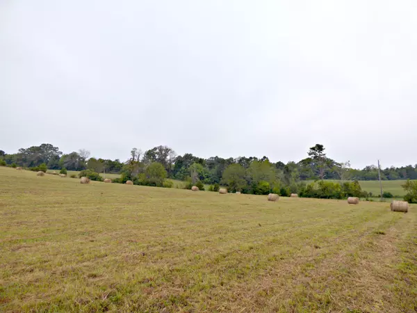 Dandridge, TN 37725,0 Harold Patterson Rd