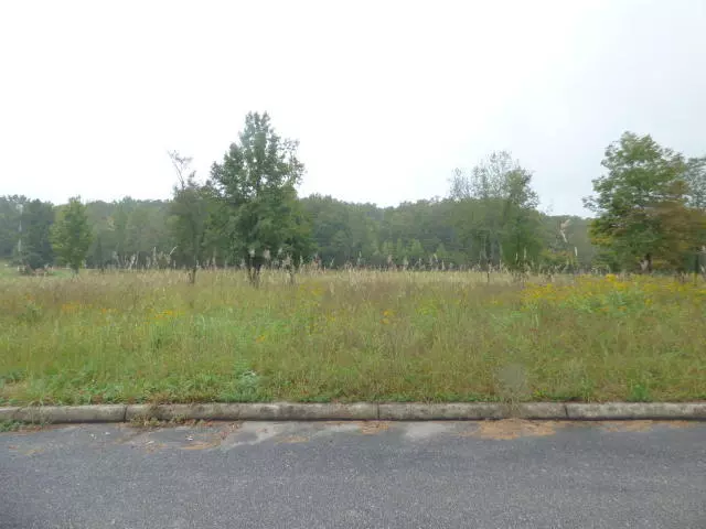 Spring City, TN 37381,Lot 5 Stump Hollow Rd