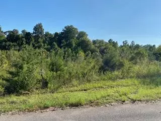 721 Julip Lane LN, Philadelphia, TN 37846