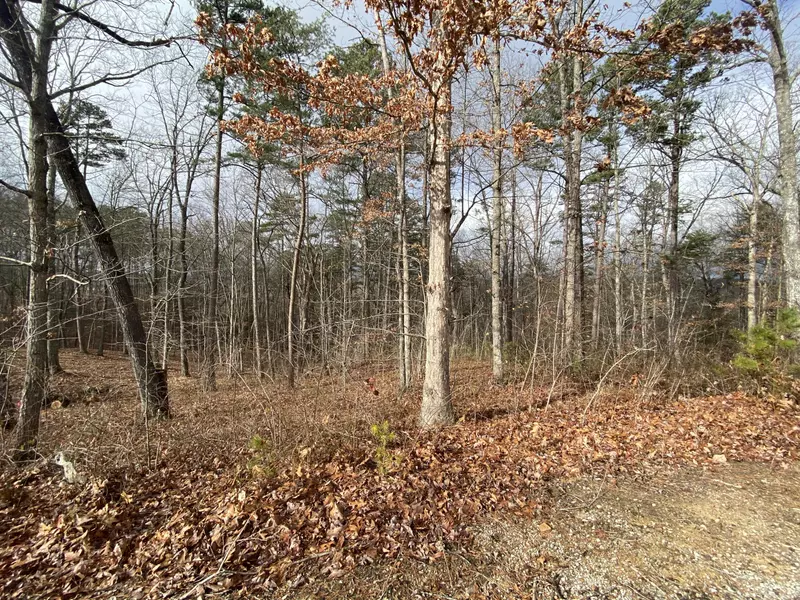 ` Eagle Bluff, Jamestown, TN 38556