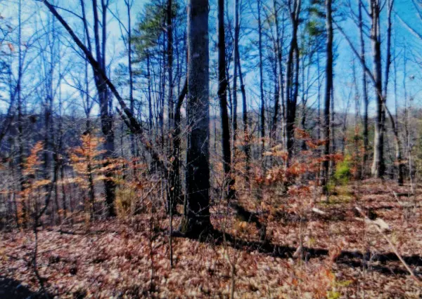 Tellico Plains, TN 37385,130.16 ac Ballplay Road