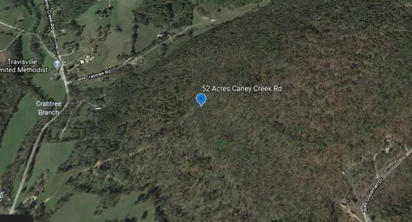 Byrdstown, TN 38549,Caney Creek , 52 acres Rd