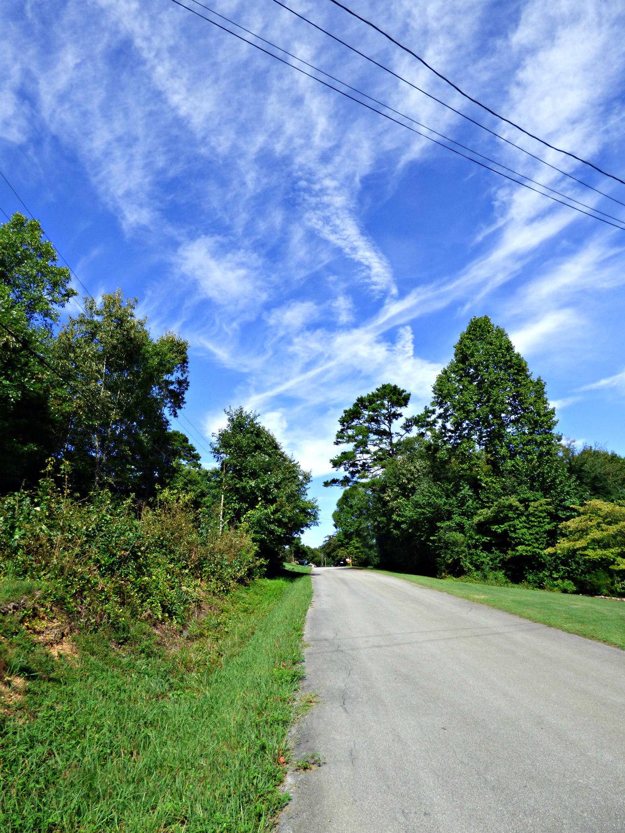 Seymour, TN 37865,Lot 70 Chris Dale DR