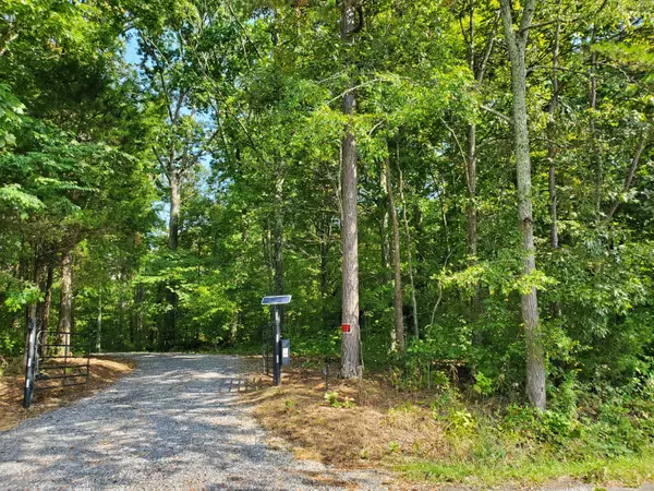 White Pine, TN 37890,Lot 10 Leadvale Rd